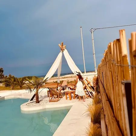 Amo Golden * 크리시 아모우디아