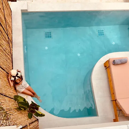 Amo Golden * 크리시 아모우디아