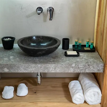 Amo Golden * 크리시 아모우디아